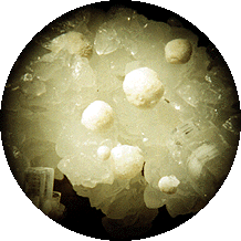  White Gyrolite - Apophyllite - Prehnite base  